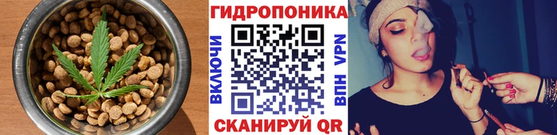 Canna-Cookies конопля  Белая Калитва 