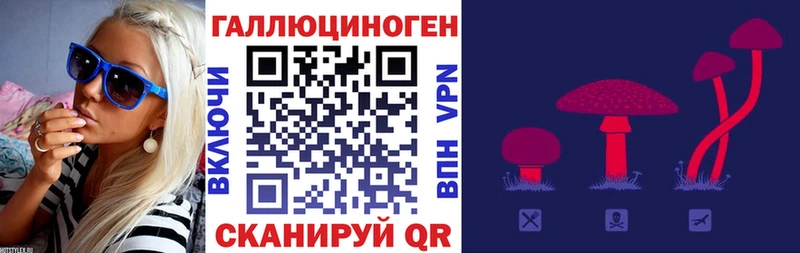 Галлюциногенные грибы прущие грибы  Белая Калитва 