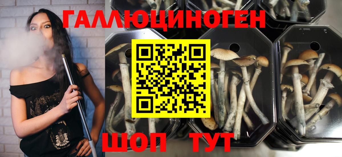 Галлюциногенные грибы GOLDEN TEACHER Белая Калитва