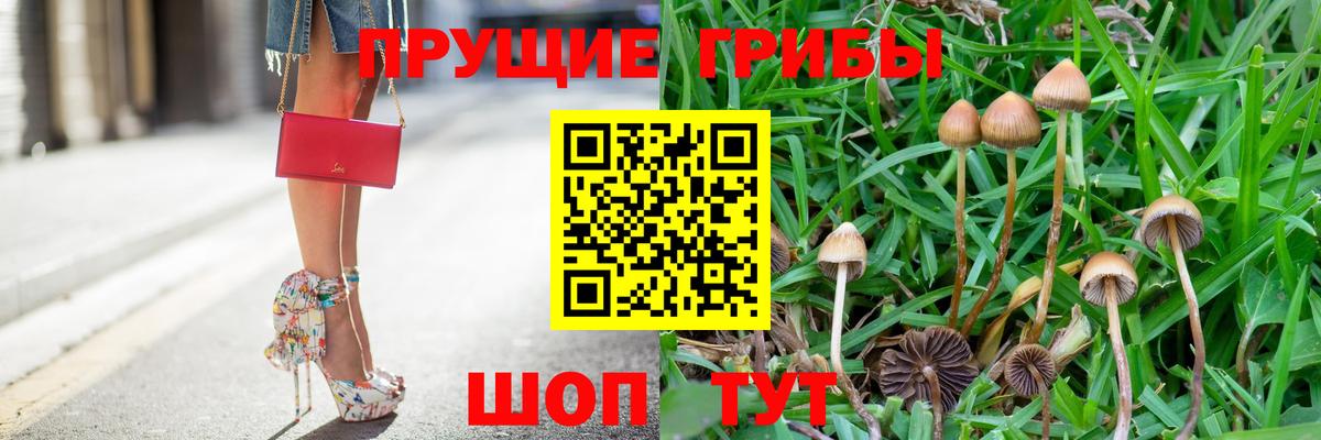 Псилоцибиновые грибы Magic Shrooms Белая Калитва