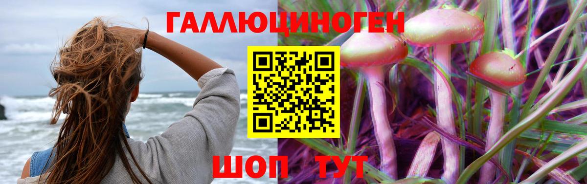 Псилоцибиновые грибы Cubensis  Белая Калитва 